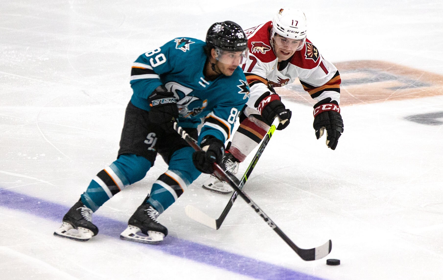 Roadrunners Vs Barracuda